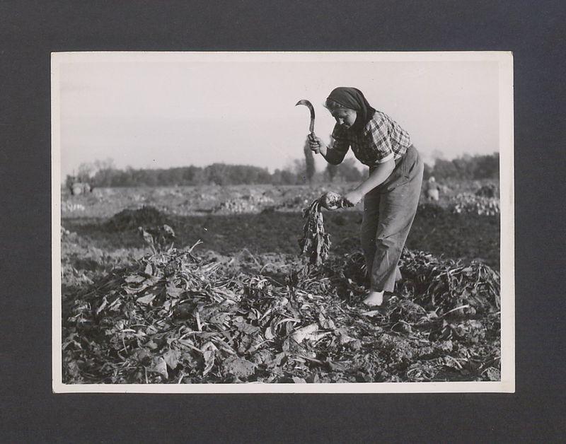 Tadeusz Kulisiewicz, fotografia