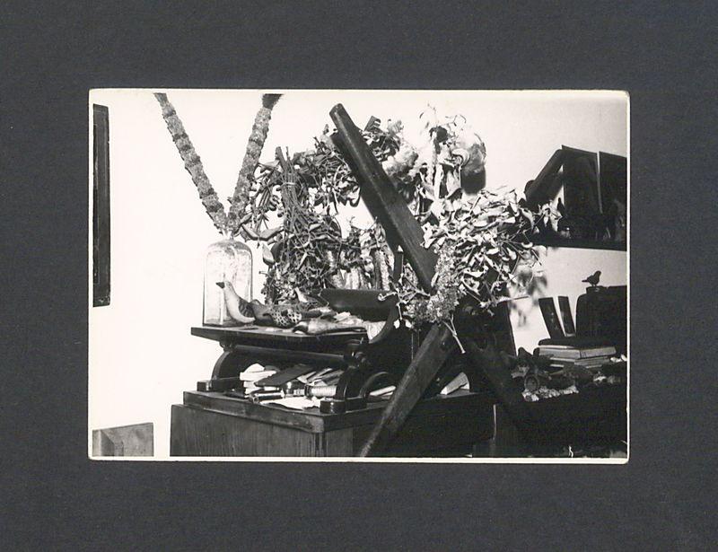 Tadeusz Kulisiewicz, fotografia