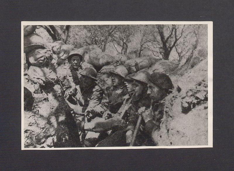 Dąbrowszczacy w okopach