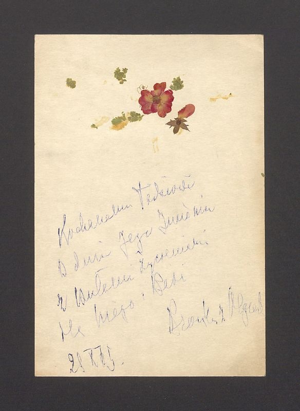 Kochanemu Tadziowi w Dniu Jego Imienin [...]