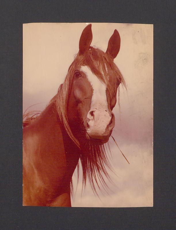 Najlepsze życzenia świąteczne i noworoczne [...]