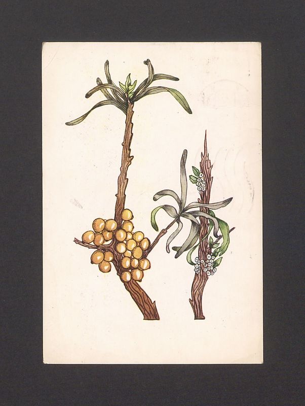 Kochani! Spotkałam wczoraj p. K. Nitę [...]