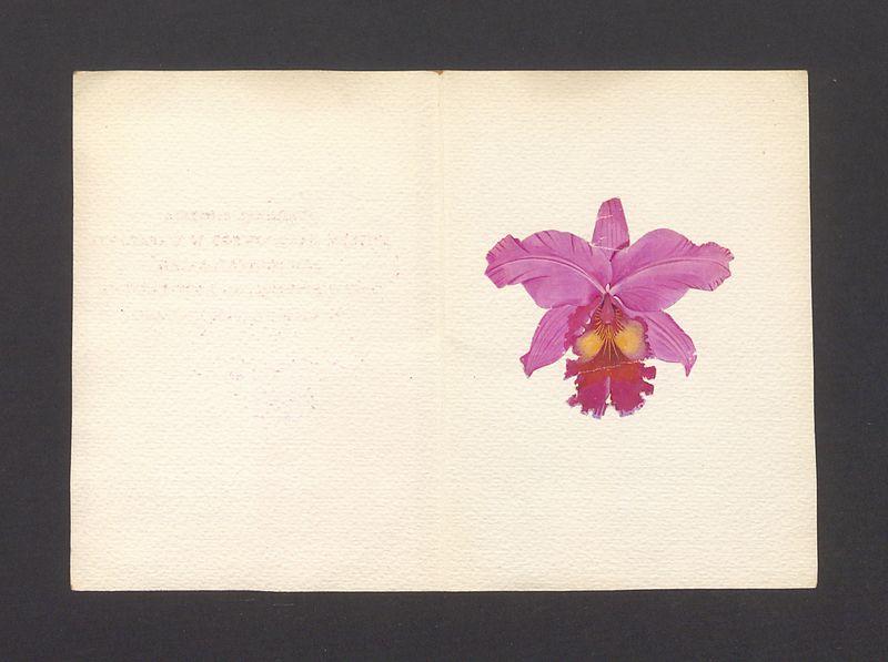 Wielce Szanownej i Drogiej Pani Profesorowej - przesyłam dużo serdecznych życzeń [...]