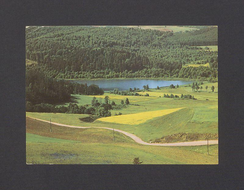 Drodzy Basiu i Tadeuszu. Dziękujemy za kartkę [...]