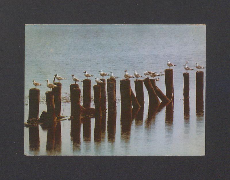 Kochani, jestem w Sopocie, pogoda bardzo piękna [...]