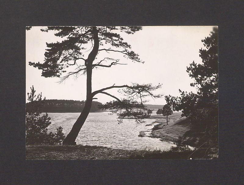 Drodzy Państwo. Góry są piękne o każdej porze roku [...]