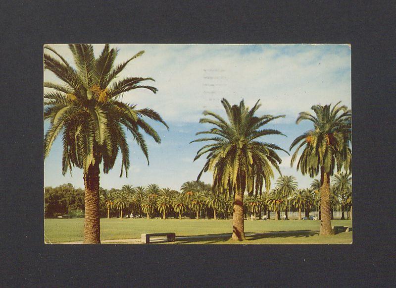 Ukłony i pozdrowienia znad Zatoki Meksykańskiej [...]