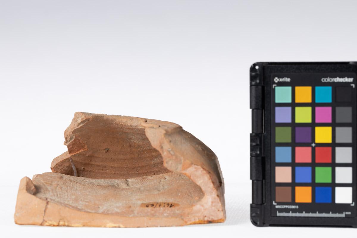 Kafel z motywem roślinnym