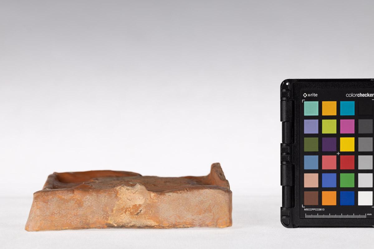 Kafel z motywem roślinnym