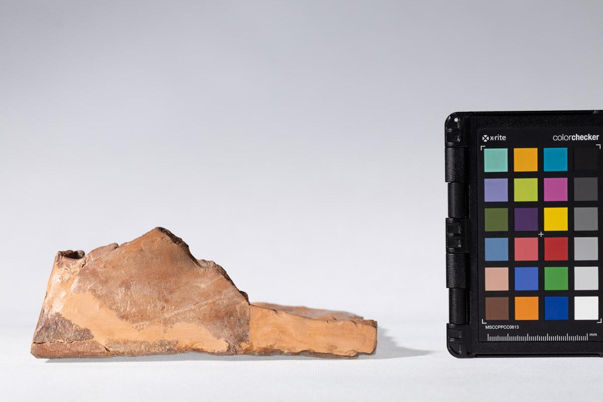 Kafel z herbem Brochowicz (?)