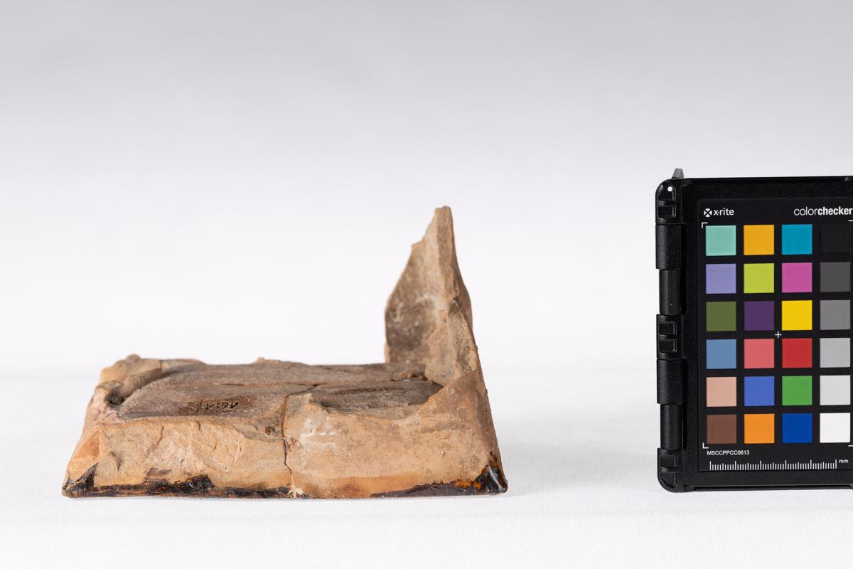 Kafel z rozetą kwiatową