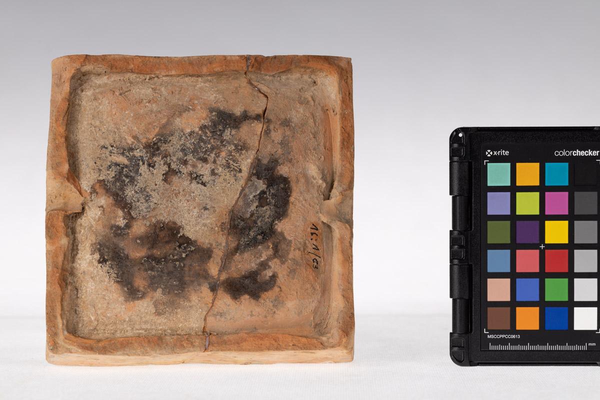 Kafel z motywem roślinnym