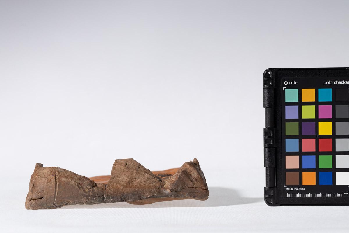 Kafel z motywem jelenia