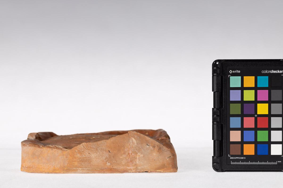 Kafel z motywem roślinnym