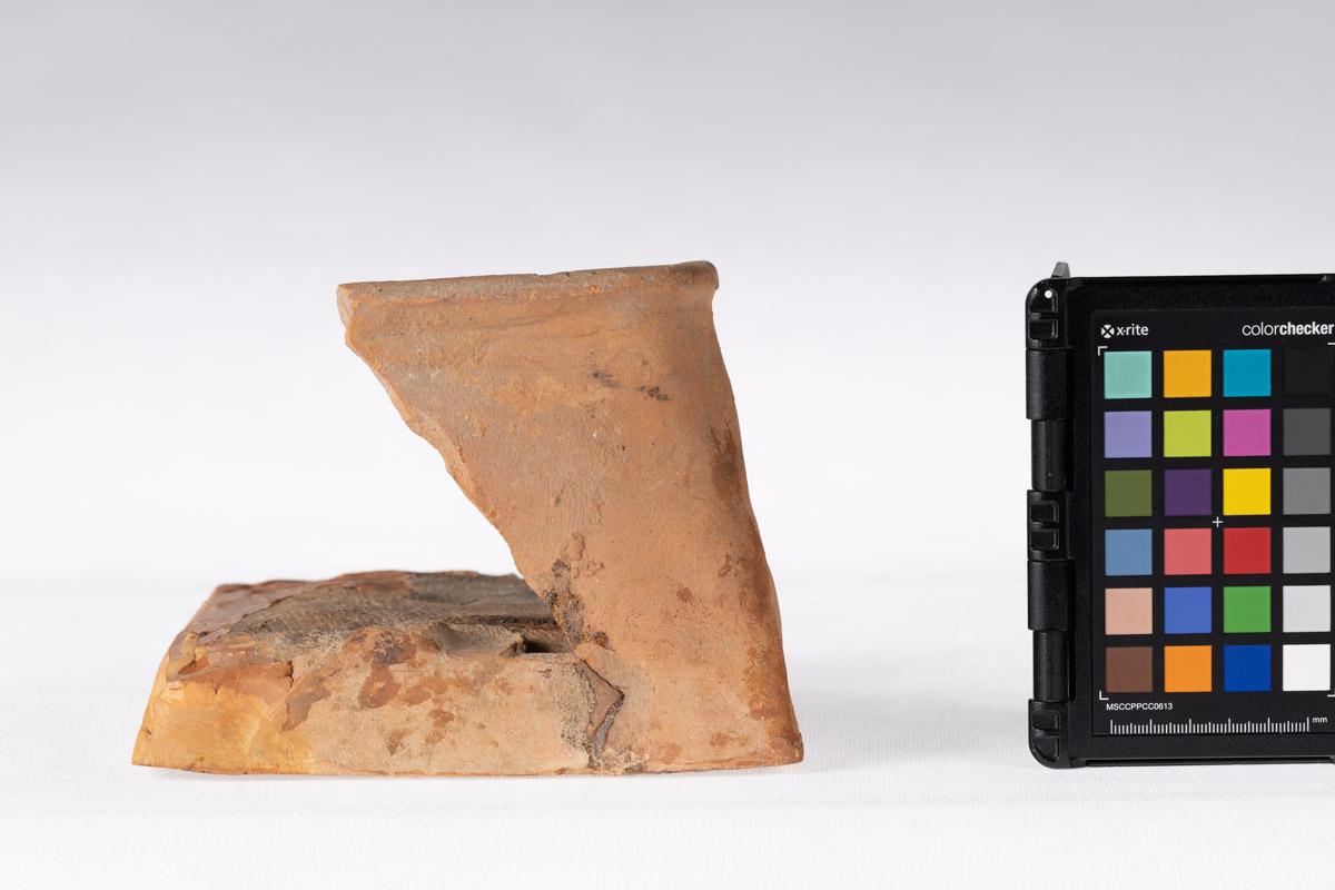 Kafel z motywem roślinnym