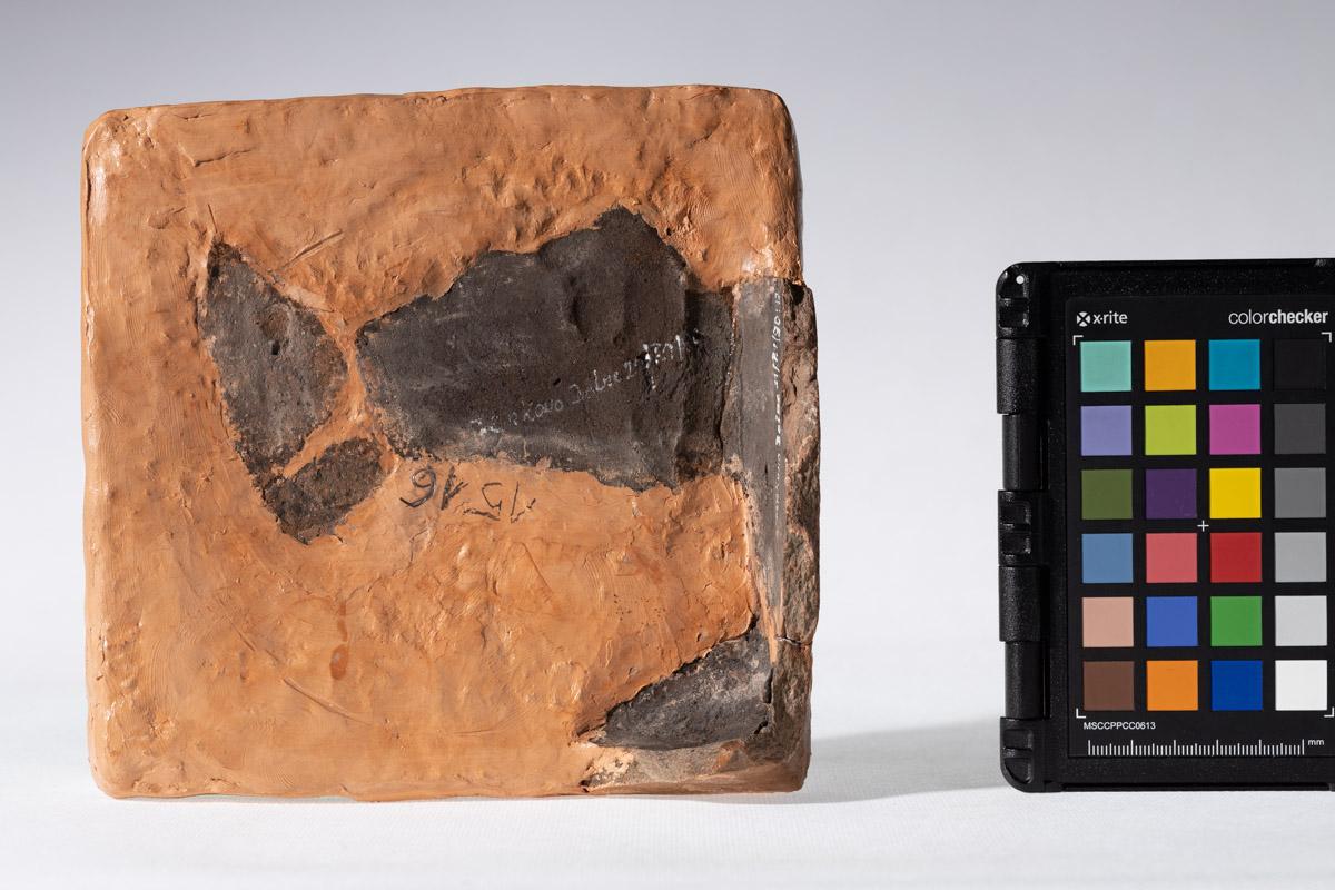 Kafel z motywem jelenia