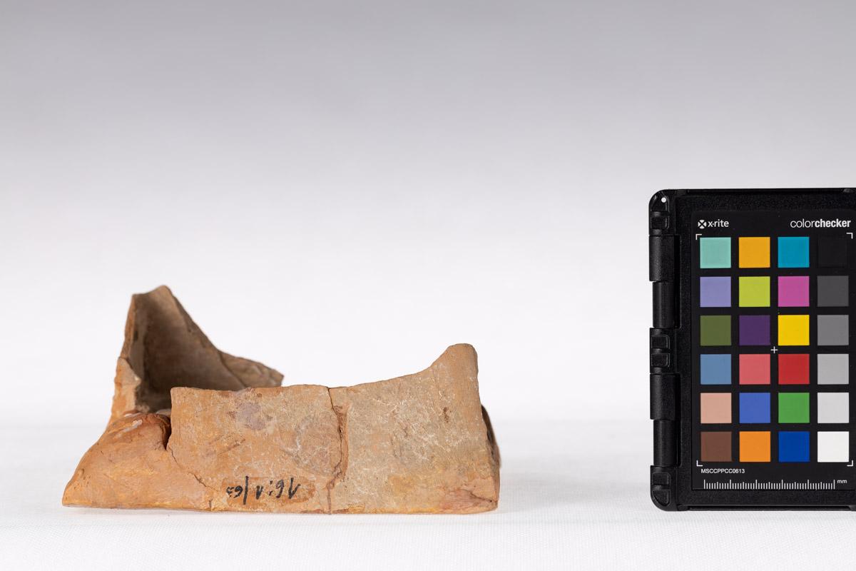 Kafel z motywem roślinnym