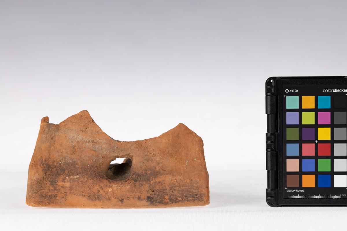 Kafel z motywem roślinnym