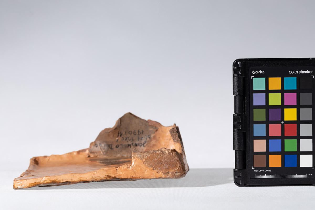 Kafel z herbem Brochowicz (?)