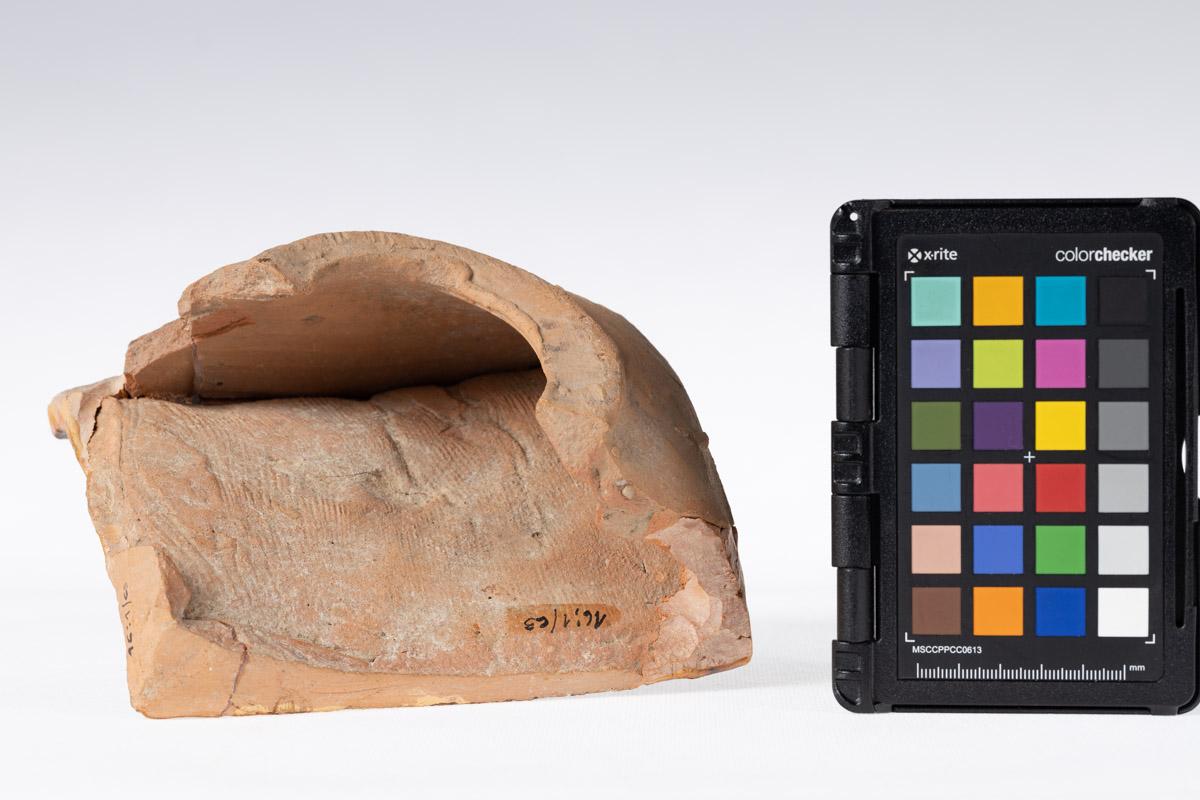 Kafel z motywem roślinnym