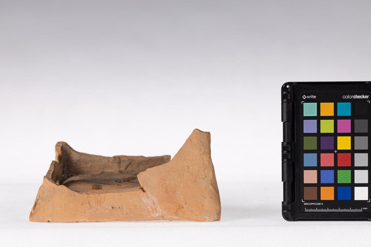 Kafel z motywem roślinnym