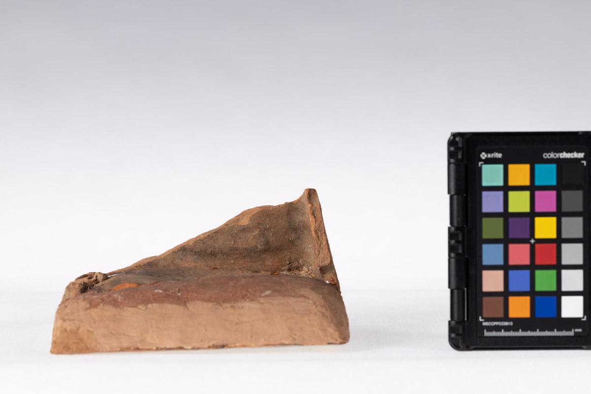 Kafel z motywem roślinnym