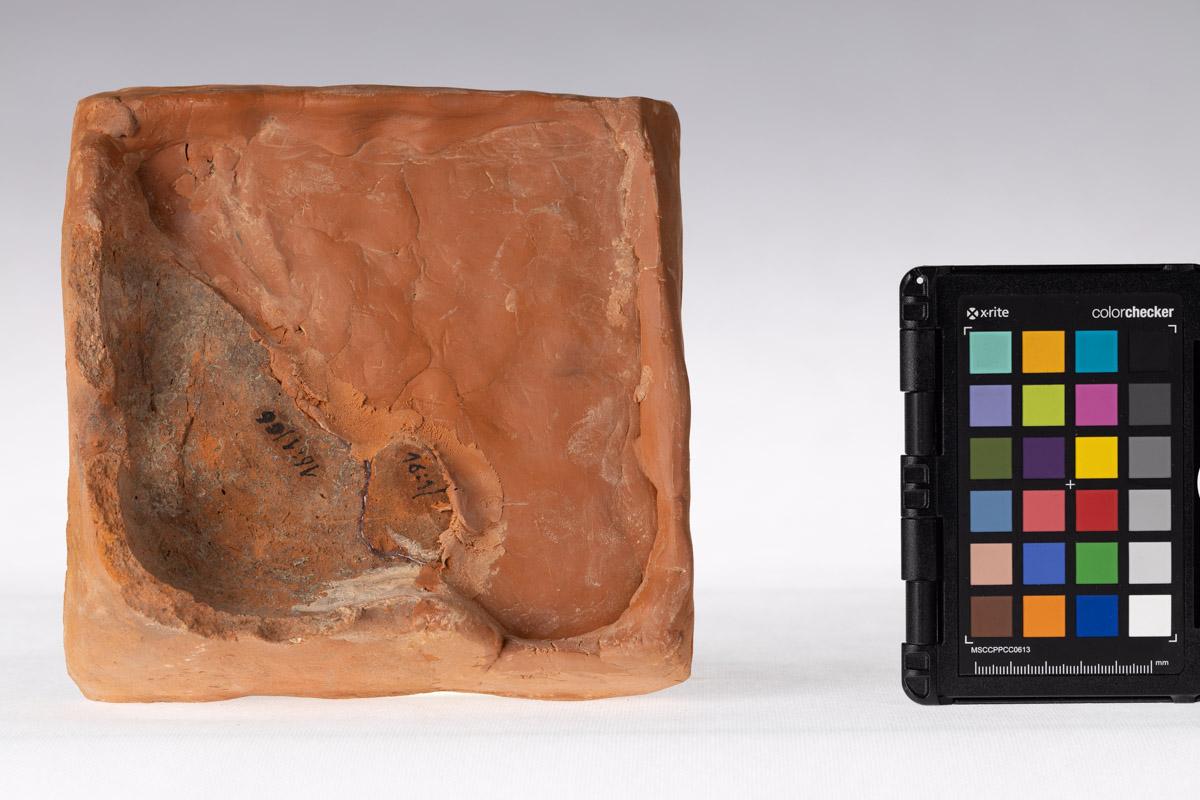 Kafel z motywem rozety kwiatowej