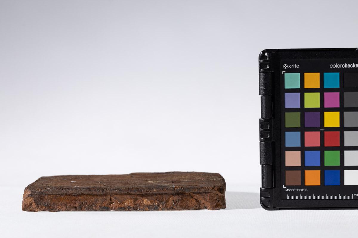 Płytka z wyobrażeniem wojowników