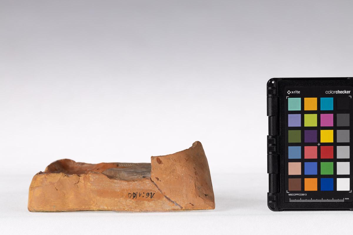 Kafel z motywem roślinnym