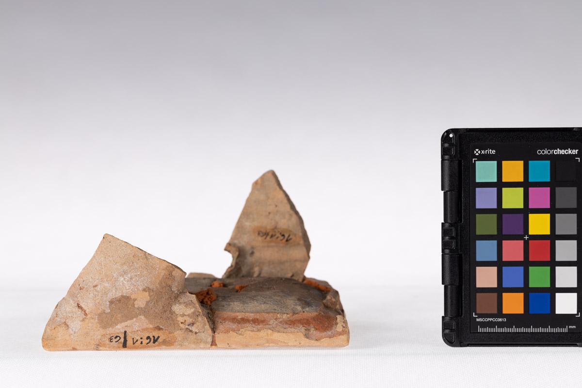 Kafel z rozetą kwiatową