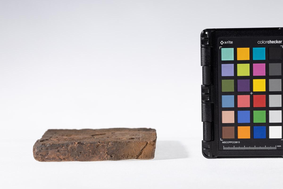 Płytka z wyobrażeniem człowieka prowadzącego lwa na arkanie