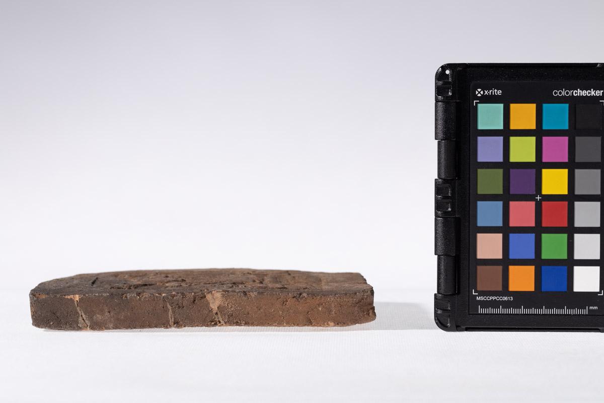 Płytka z wyobrażeniem człowieka prowadzącego lwa na arkanie