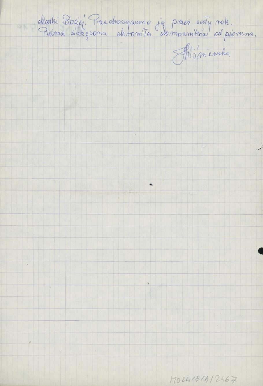 Niedziela Palmowa, 1920 r.