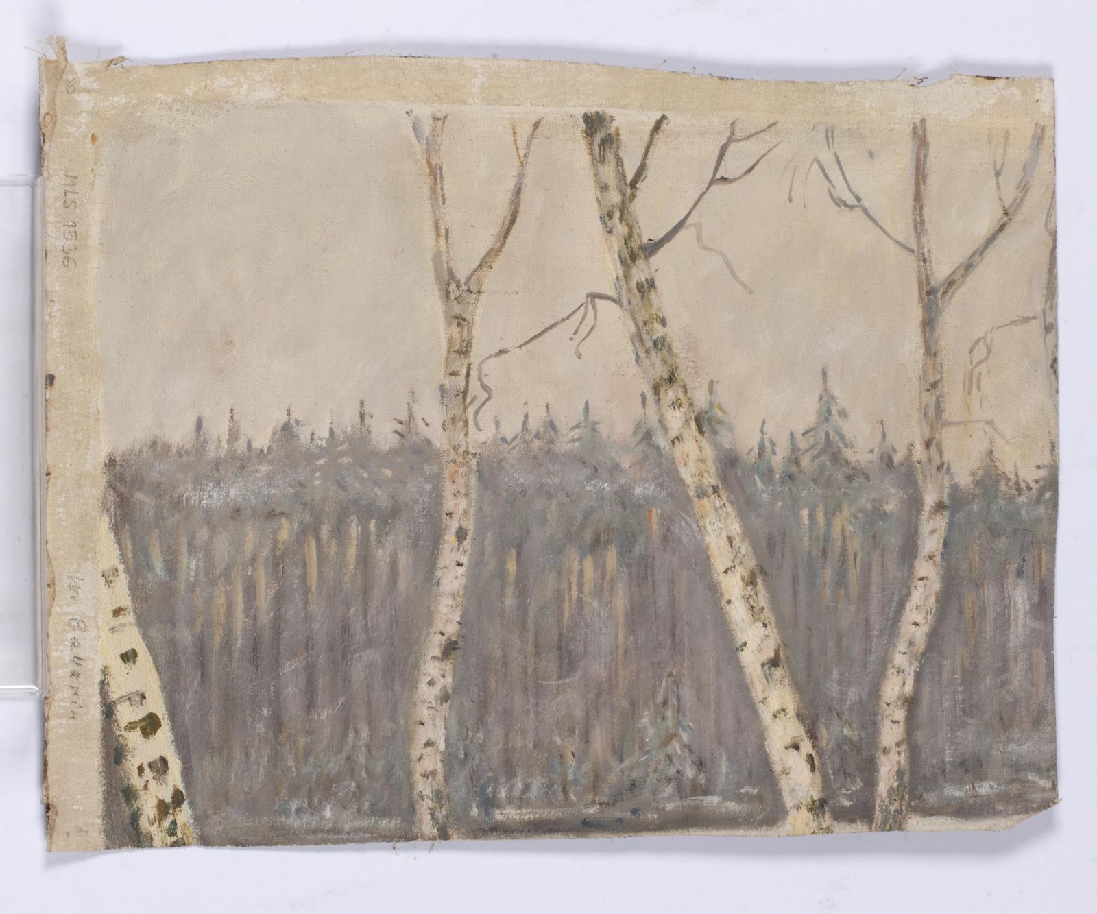 Portret starszego mężczyzny