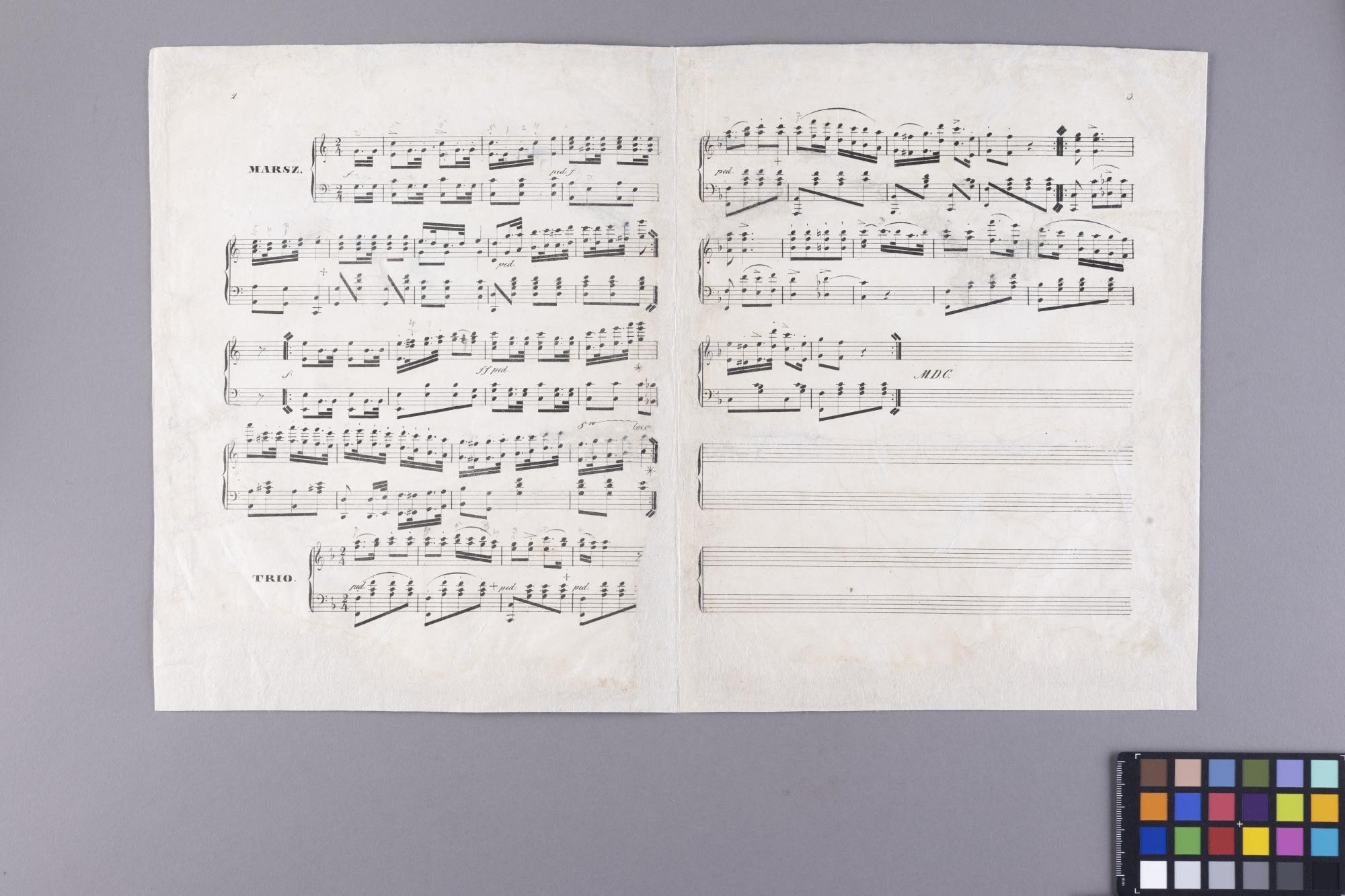 Nuty Marsza kosynierów