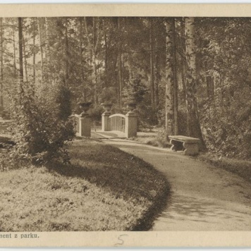 Fragment z parku, Kalisz 