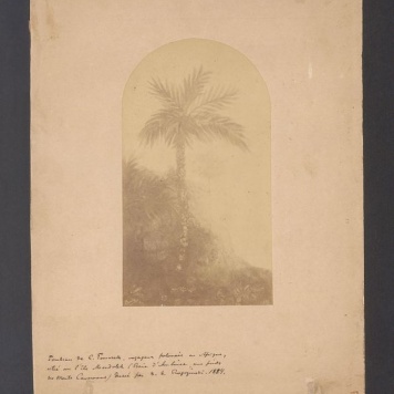 Grób podróżnika Klemensa Tomczeka 