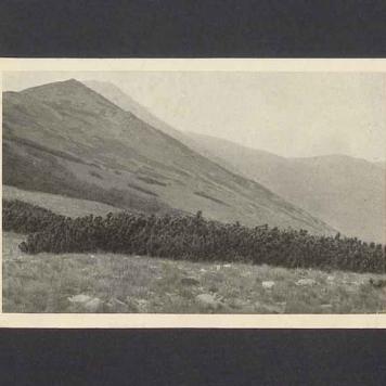 Wielmożna Pani [...]