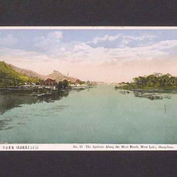 The Apricots Along the West Brook