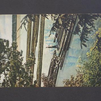 Kochani! Wczasujemy się jak zwykle w Augustowie [...]