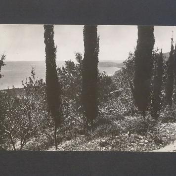 Kochanie Panie Profesorze! Wysyłam najlepsze życzenia [...]