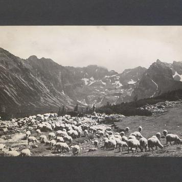 Kochani. Łażę po Krupówkach [...]