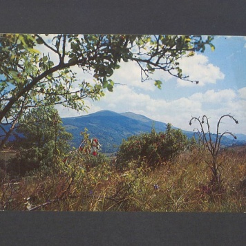 Kochane Kuliski. Karta ta niestety pisana jest już w W-wie [...]