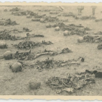 Ekshumacje zwłok pomordowanych pod Kaliszem w czasie II Wojny Światowej