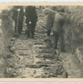 Ekshumacje zwłok pomordowanych pod Kaliszem w czasie II Wojny Światowej