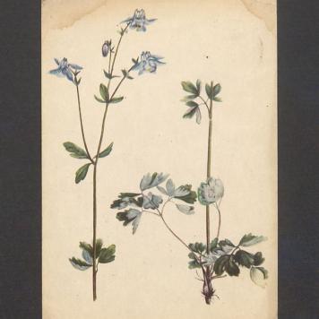 Kochana Basiu! Całuję mocno za kartkę [...]