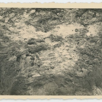 Ekshumacje zwłok pomordowanych pod Kaliszem w czasie II Wojny Światowej