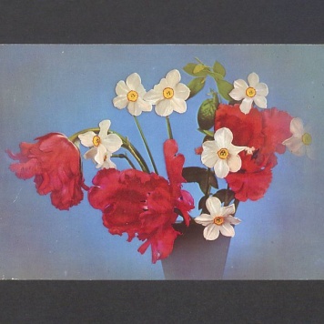 Droga Basiu - przesyłam Ci najlepsze życzenia [...]