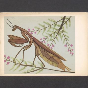 Kochani! Bardzo dziękujemy za gościnę [...]