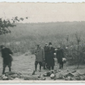 Ekshumacje zwłok pomordowanych pod Kaliszem w czasie II Wojny Światowej